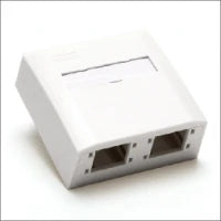 REICHLE EN DEMASSARI 303901 Datacom-Dose (Twisted Pair)