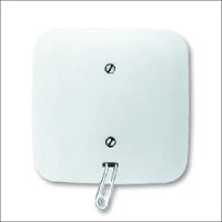 ABB BUSCH-JAEGER 2CKA001753A0224 Bedienelement / Zentralplatte Schalterprogramm 55 mm