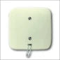 ABB BUSCH-JAEGER 2CKA001753A0224 Bedienelement / Zentralplatte Schalterprogramm 55 mm