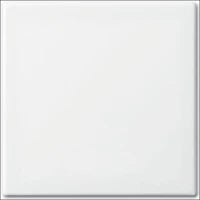ABB BUSCH-JAEGER 2CKA001754A4552 Abdeckrahmen Schalterprogramm 12 mm