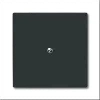ABB BUSCH-JAEGER 2CKA001730A0241 Abdeckrahmen Schalterprogramm 14 mm