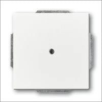 ABB BUSCH-JAEGER 2CKA001754A4333 Abdeckrahmen Schalterprogramm 11 mm