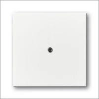 ABB BUSCH-JAEGER 2CKA001754A4318 Abdeckrahmen Schalterprogramm 11 mm