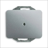 ABB BUSCH-JAEGER 2CKA001754A4319 Abdeckrahmen Schalterprogramm 11 mm