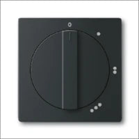 ABB BUSCH-JAEGER 2CKA001754A4231 Abdeckrahmen Schalterprogramm 11 mm