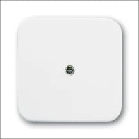 ABB BUSCH-JAEGER 2CKA001725A1495 Abdeckrahmen Schalterprogramm 11 mm