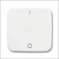 ABB BUSCH-JAEGER 2CKA001754A3724 Abdeckrahmen Schalterprogramm 11 mm