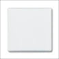 ABB BUSCH-JAEGER 2CKA001730A0241 Abdeckrahmen Schalterprogramm 14 mm