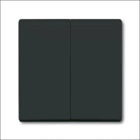 ABB BUSCH-JAEGER 2CKA001730A0209 Abdeckrahmen Schalterprogramm 14 mm