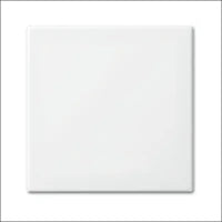 ABB BUSCH-JAEGER 2TKA00002621 Steckdose