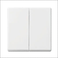 ABB BUSCH-JAEGER 2CKA001725A1560 Abdeckrahmen Schalterprogramm 11 mm