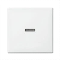 ABB BUSCH-JAEGER 2CKA001012A0954 Installationsschalter