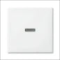 ABB BUSCH-JAEGER 2CKA001012A0954 Installationsschalter