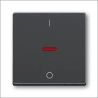 ABB BUSCH-JAEGER 2CKA001011A0816 Installationsschalter