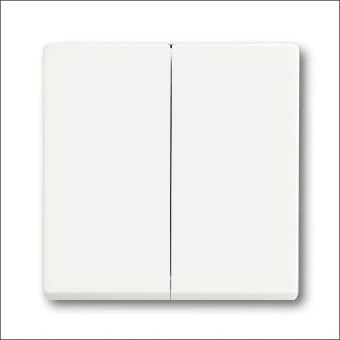 ABB BUSCH-JAEGER 2CKA001751A3024 Bedienelement / Zentralplatte Schalterprogramm 63 mm