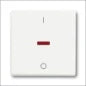 ABB BUSCH-JAEGER 2CKA001011A0816 Installationsschalter
