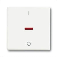ABB BUSCH-JAEGER 2CKA001011A0816 Installationsschalter