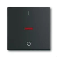 ABB BUSCH-JAEGER 2CKA001011A0816 Installationsschalter