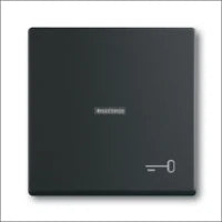 ABB BUSCH-JAEGER 2CKA001012A2034 Installationsschalter