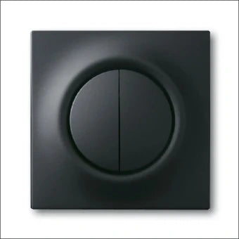 ABB BUSCH-JAEGER 2CKA001753A0152 Bedienelement / Zentralplatte Schalterprogramm 71 mm