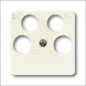 ABB BUSCH-JAEGER 2CKA001726A0173 Overgangsafdekplaat Schalterprogramm