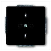 ABB BUSCH-JAEGER 2CKA001710A3612 Bedienelement / Zentralplatte Schalterprogramm