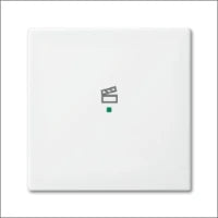 ABB BUSCH-JAEGER 2CKA006220A0363 Bedienelement / Zentralplatte Schalterprogramm