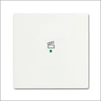 ABB BUSCH-JAEGER 2CKA001754A4242 Abdeckrahmen Schalterprogramm 11 mm