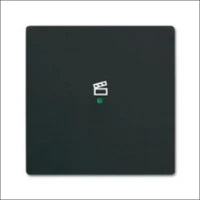 ABB BUSCH-JAEGER 2CKA001754A4230 Abdeckrahmen Schalterprogramm 11 mm