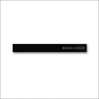 ABB BUSCH-JAEGER 2CKA006310A0160 Sierrand Schalterprogramm