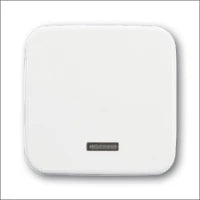 ABB BUSCH-JAEGER 2CKA001725A0969 Abdeckrahmen Schalterprogramm 11 mm