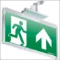 VAN LIEN 7TCA091130R0594 NoodLeuchte 226 mm