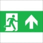 ECOLIGHT PAM-L Piktogramm Notbeleuchtung 330 mm