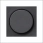 GIRA 245000 Dimmer