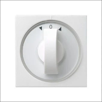 GIRA 066603 Bedienelement / Zentralplatte Schalterprogramm