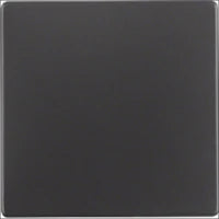 BERKER 10116086 Abdeckrahmen Schalterprogramm 9.9 mm