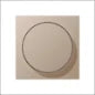 JUNG A1541CH Bedienelement / Zentralplatte Schalterprogramm 55 mm