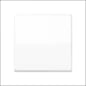 JUNG A564WW Bauteil / Zentralplatte Kommunikations-Schalterprogramm