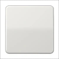 JUNG CD581LG Abdeckrahmen Schalterprogramm 10 mm