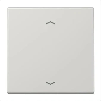 JUNG LS990PLG Bedienelement / Zentralplatte Schalterprogramm 70 mm