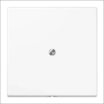 JUNG LS990AWW Bauteil / Zentralplatte Kommunikations-Schalterprogramm
