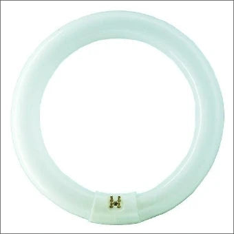 PHILIPS 8711500559685 Leuchtstoffroehre