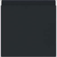 ABB BUSCH-JAEGER 2CKA002113A0514 Steckdose
