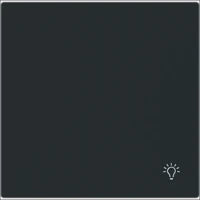 ABB BUSCH-JAEGER 2CKA001012A2034 Installationsschalter