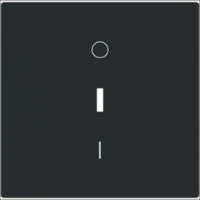 ABB BUSCH-JAEGER 2CKA001012A2034 Installationsschalter