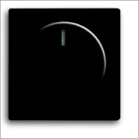ABB BUSCH-JAEGER 2CKA006512A0334 Dimmer