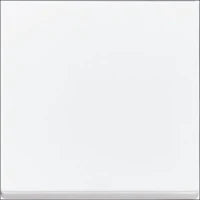 ABB BUSCH-JAEGER 2CKA001754A4302 Abdeckrahmen Schalterprogramm 11 mm