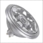 SLV 229554 BIG THEO QPAR111 CL grey IP44