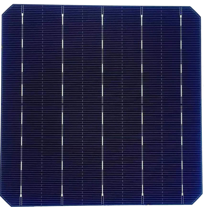 Allesun - Zellen - AV-156.75M 5,16 - Art. 16402