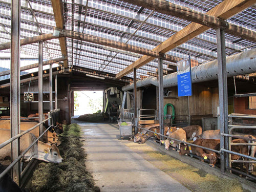 Galaxy Energy GmbH - Montagesysteme - Cowsheds Cowsheds - Art. 5194